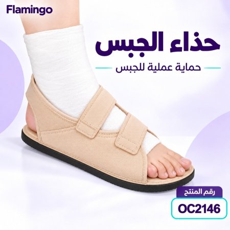 Cast Shoe OC2146